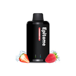 Punkapes Epitome 10,000 Puff Dual Mesh - image 1 | Vape King