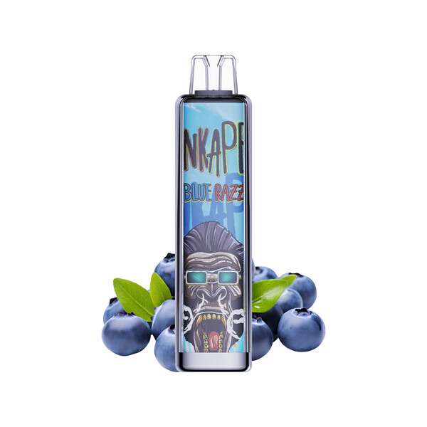 Punkapes Pulse 13,000 Puff Disposable Vape - image 1 | Vape King