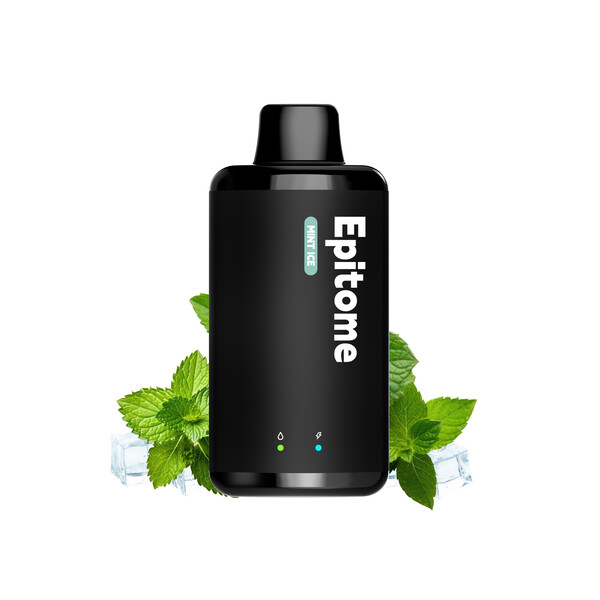 Punkapes Epitome 10,000 Puff Dual Mesh - image 3 | Vape King